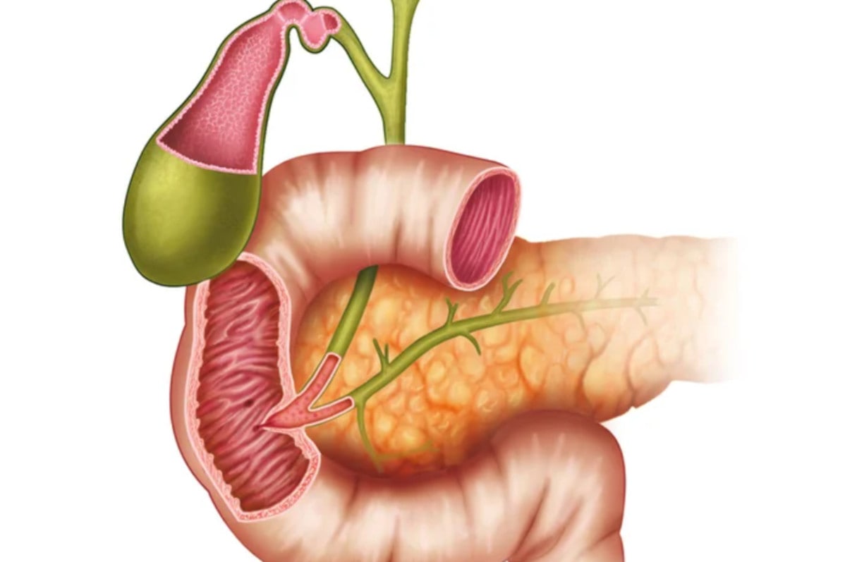 Przez żołądek do… Dwunastnicy. Czyli co to i gdzie to?