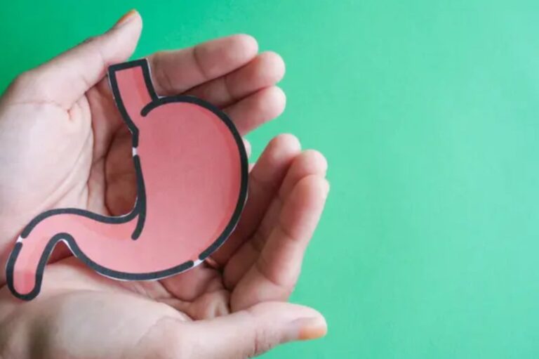 Żołądek – kluczowy narząd nie tylko dla trawienia