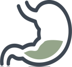 Problemy w obrębie układu pokarmowego i terapia wisceralna