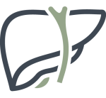 Terapia wisceralna Kraków i praca z narządami wewnętrznymi wykonywana przez osteopatę